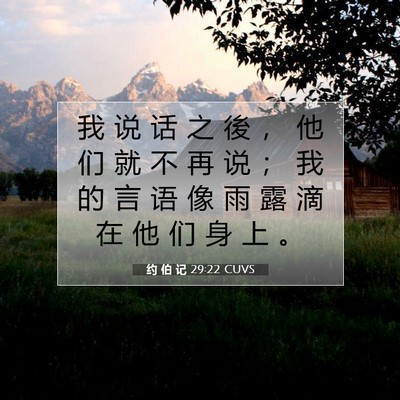 Picture 07 - 约 伯 记 29:22 CUVS - 我 说 话 之 後 ， 他 们 就 不 再 说 - Bible Verse Picture