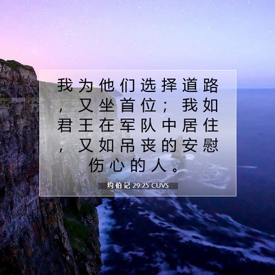 Picture 07 - 约 伯 记 29:25 CUVS - 我 为 他 们 选 择 道 路 ， 又 坐 首 - Bible Verse Picture