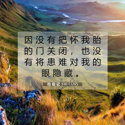 Picture 07 - 约 伯 记 3:10 CUVS - 因 没 有 把 怀 我 胎 的 门 关 闭 ， - Bible Verse Picture