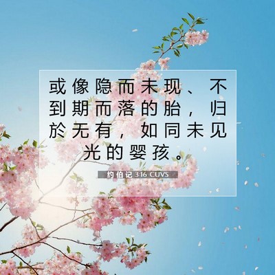 Picture 07 - 约 伯 记 3:16 CUVS - 或 像 隐 而 未 现 、 不 到 期 而 落 - Bible Verse Picture