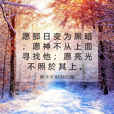 Picture 07 - 约 伯 记 3:4 CUVS - 愿 那 日 变 为 黑 暗 ； 愿 神 不 从 - Bible Verse Picture