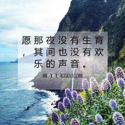Picture 07 - 约 伯 记 3:7 CUVS - 愿 那 夜 没 有 生 育 ， 其 间 也 没 - Bible Verse Picture