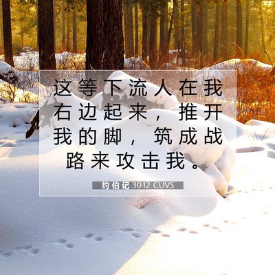 Picture 07 - 约 伯 记 30:12 CUVS - 这 等 下 流 人 在 我 右 边 起 来 ， - Bible Verse Picture