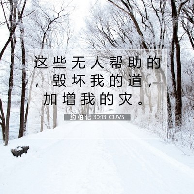Picture 07 - 约 伯 记 30:13 CUVS - 这 些 无 人 帮 助 的 ， 毁 坏 我 的 - Bible Verse Picture