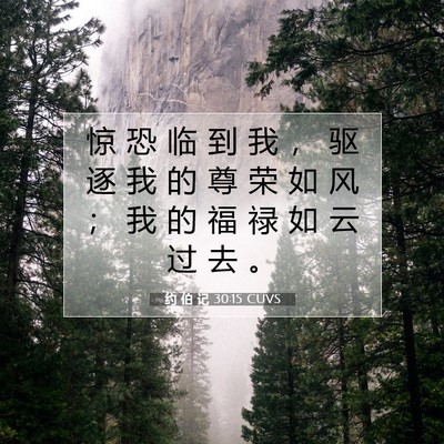Picture 07 - 约 伯 记 30:15 CUVS - 惊 恐 临 到 我 ， 驱 逐 我 的 尊 荣 - Bible Verse Picture