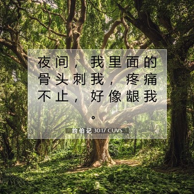 Picture 07 - 约 伯 记 30:17 CUVS - 夜 间 ， 我 里 面 的 骨 头 刺 我 ， - Bible Verse Picture
