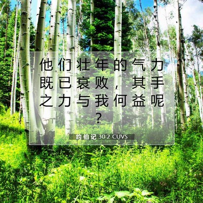 Picture 07 - 约 伯 记 30:2 CUVS - 他 们 壮 年 的 气 力 既 已 衰 败 ， - Bible Verse Picture