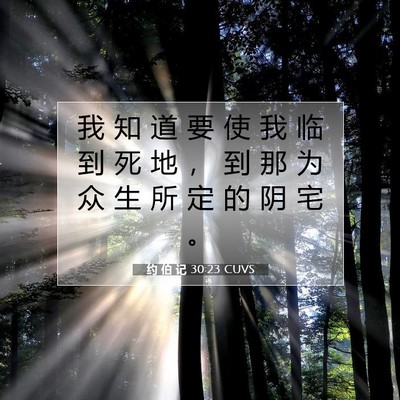 Picture 07 - 约 伯 记 30:23 CUVS - 我 知 道 要 使 我 临 到 死 地 ， 到 - Bible Verse Picture