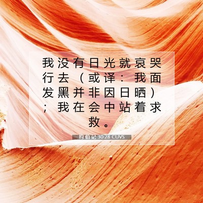 Picture 07 - 约 伯 记 30:28 CUVS - 我 没 有 日 光 就 哀 哭 行 去 （ 或 - Bible Verse Picture