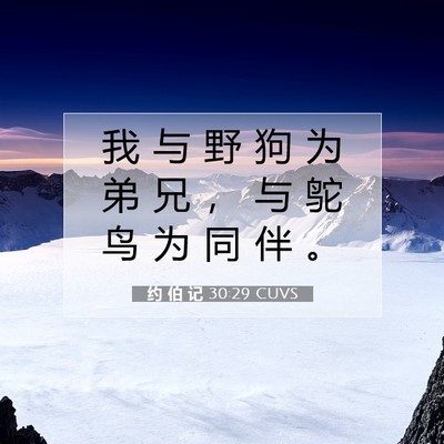 Picture 07 - 约 伯 记 30:29 CUVS - 我 与 野 狗 为 弟 兄 ， 与 鸵 鸟 为 - Bible Verse Picture