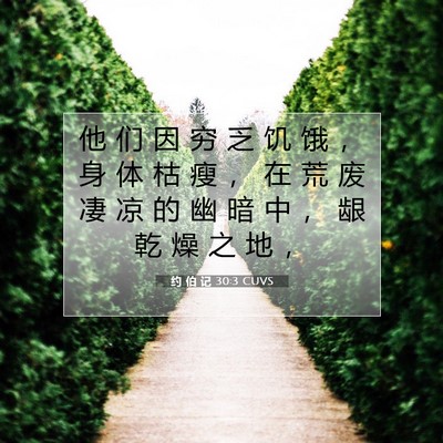 Picture 07 - 约 伯 记 30:3 CUVS - 他 们 因 穷 乏 饥 饿 ， 身 体 枯 瘦 - Bible Verse Picture
