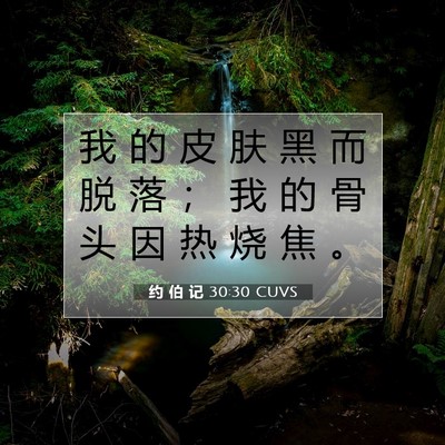 Picture 07 - 约 伯 记 30:30 CUVS - 我 的 皮 肤 黑 而 脱 落 ； 我 的 骨 - Bible Verse Picture