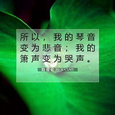 Picture 07 - 约 伯 记 30:31 CUVS - 所 以 ， 我 的 琴 音 变 为 悲 音 ； - Bible Verse Picture