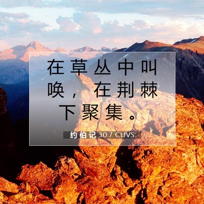 Picture 07 - 约 伯 记 30:7 CUVS - 在 草 丛 中 叫 唤 ， 在 荆 棘 下 聚 - Bible Verse Picture