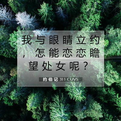 Picture 07 - 约 伯 记 31:1 CUVS - 我 与 眼 睛 立 约 ， 怎 能 恋 恋 瞻 - Bible Verse Picture