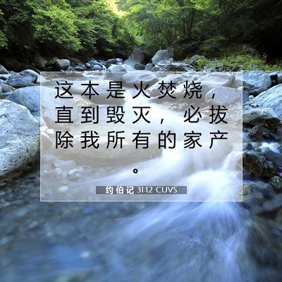 Picture 07 - 约 伯 记 31:12 CUVS - 这 本 是 火 焚 烧 ， 直 到 毁 灭 ， - Bible Verse Picture