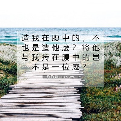 Picture 07 - 约 伯 记 31:15 CUVS - 造 我 在 腹 中 的 ， 不 也 是 造 他 - Bible Verse Picture