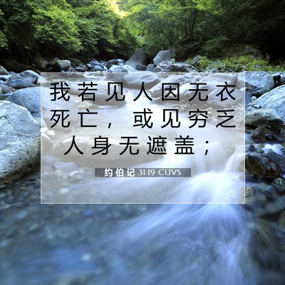 Picture 07 - 约 伯 记 31:19 CUVS - 我 若 见 人 因 无 衣 死 亡 ， 或 见 - Bible Verse Picture