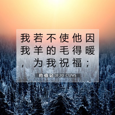 Picture 07 - 约 伯 记 31:20 CUVS - 我 若 不 使 他 因 我 羊 的 毛 得 暖 - Bible Verse Picture