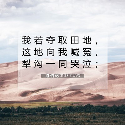 Picture 07 - 约 伯 记 31:38 CUVS - 我 若 夺 取 田 地 ， 这 地 向 我 喊 - Bible Verse Picture