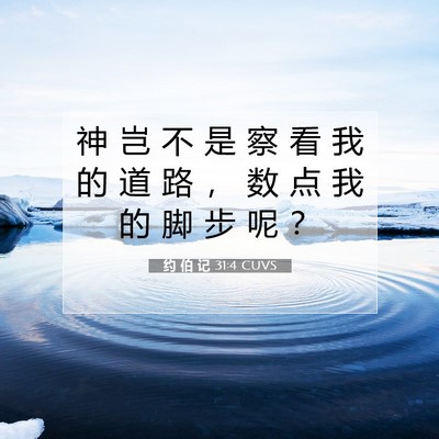 Picture 07 - 约 伯 记 31:4 CUVS - 神 岂 不 是 察 看 我 的 道 路 ， 数 - Bible Verse Picture
