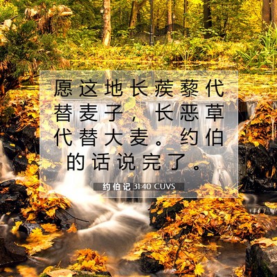Picture 07 - 约 伯 记 31:40 CUVS - 愿 这 地 长 蒺 藜 代 替 麦 子 ， 长 - Bible Verse Picture