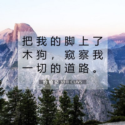 Picture 07 - 约 伯 记 33:11 CUVS - 把 我 的 脚 上 了 木 狗 ， 窥 察 我 - Bible Verse Picture