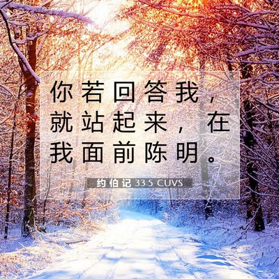 Picture 07 - 约 伯 记 33:5 CUVS - 你 若 回 答 我 ， 就 站 起 来 ， 在 - Bible Verse Picture