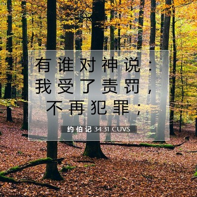 Picture 07 - 约 伯 记 34:31 CUVS - 有 谁 对 神 说 ： 我 受 了 责 罚 ， - Bible Verse Picture