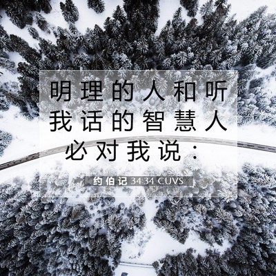 Picture 07 - 约 伯 记 34:34 CUVS - 明 理 的 人 和 听 我 话 的 智 慧 人 - Bible Verse Picture