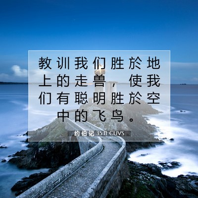 Picture 07 - 约 伯 记 35:11 CUVS - 教 训 我 们 胜 於 地 上 的 走 兽 ， - Bible Verse Picture