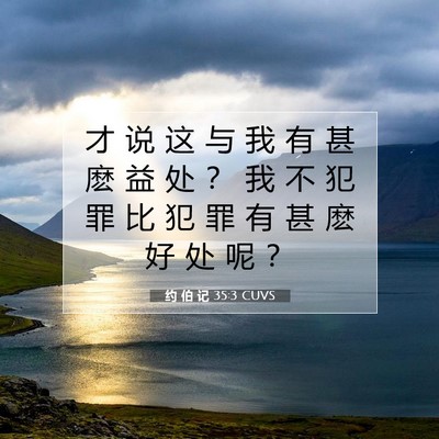 Picture 07 - 约 伯 记 35:3 CUVS - 才 说 这 与 我 有 甚 麽 益 处 ？ 我 - Bible Verse Picture