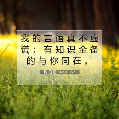 Picture 07 - 约 伯 记 36:4 CUVS - 我 的 言 语 真 不 虚 谎 ； 有 知 识 - Bible Verse Picture