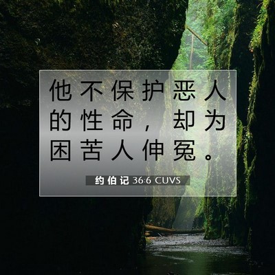 Picture 07 - 约 伯 记 36:6 CUVS - 他 不 保 护 恶 人 的 性 命 ， 却 为 - Bible Verse Picture