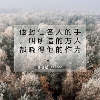 Picture 07 - 约 伯 记 37:7 CUVS - 他 封 住 各 人 的 手 ， 叫 所 造 的 - Bible Verse Picture