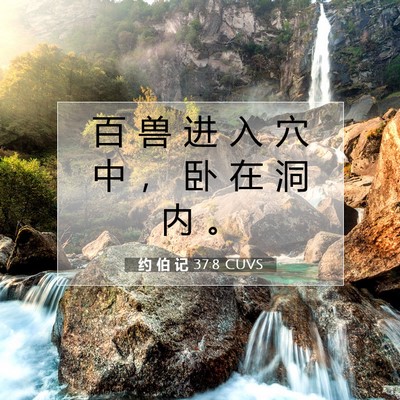 Picture 07 - 约 伯 记 37:8 CUVS - 百 兽 进 入 穴 中 ， 卧 在 洞 内 - Bible Verse Picture