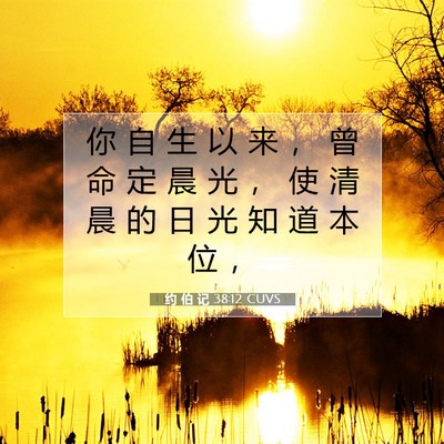 Picture 07 - 约 伯 记 38:12 CUVS - 你 自 生 以 来 ， 曾 命 定 晨 光 ， - Bible Verse Picture