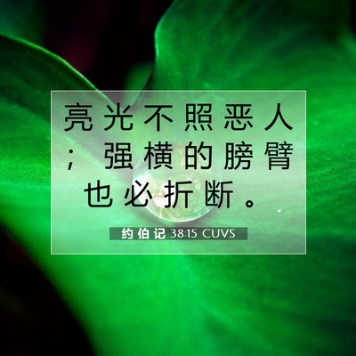 Picture 07 - 约 伯 记 38:15 CUVS - 亮 光 不 照 恶 人 ； 强 横 的 膀 臂 - Bible Verse Picture