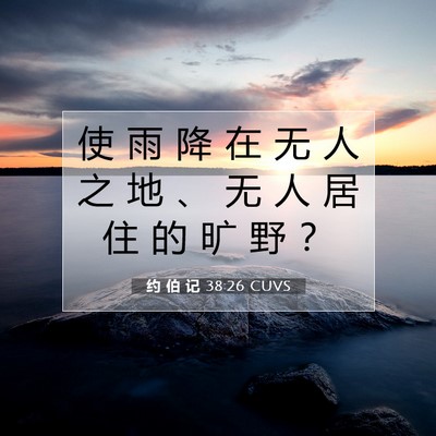 Picture 07 - 约 伯 记 38:26 CUVS - 使 雨 降 在 无 人 之 地 、 无 人 居 - Bible Verse Picture