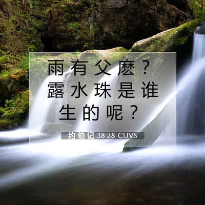 Picture 07 - 约 伯 记 38:28 CUVS - 雨 有 父 麽 ？ 露 水 珠 是 谁 生 的 - Bible Verse Picture