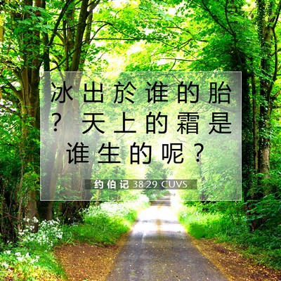 Picture 07 - 约 伯 记 38:29 CUVS - 冰 出 於 谁 的 胎 ？ 天 上 的 霜 是 - Bible Verse Picture