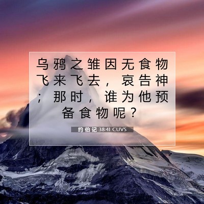 Picture 07 - 约 伯 记 38:41 CUVS - 乌 鸦 之 雏 因 无 食 物 飞 来 飞 去 - Bible Verse Picture