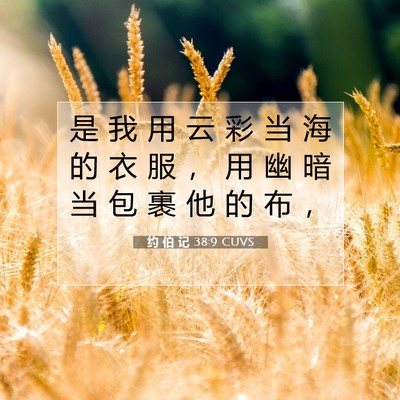Picture 07 - 约 伯 记 38:9 CUVS - 是 我 用 云 彩 当 海 的 衣 服 ， 用 - Bible Verse Picture