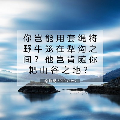 Picture 07 - 约 伯 记 39:10 CUVS - 你 岂 能 用 套 绳 将 野 牛 笼 在 犁 - Bible Verse Picture