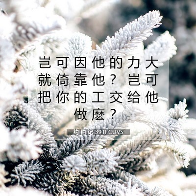 Picture 07 - 约 伯 记 39:11 CUVS - 岂 可 因 他 的 力 大 就 倚 靠 他 ？ - Bible Verse Picture