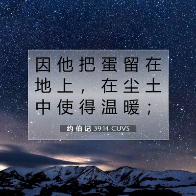 Picture 07 - 约 伯 记 39:14 CUVS - 因 他 把 蛋 留 在 地 上 ， 在 尘 土 - Bible Verse Picture