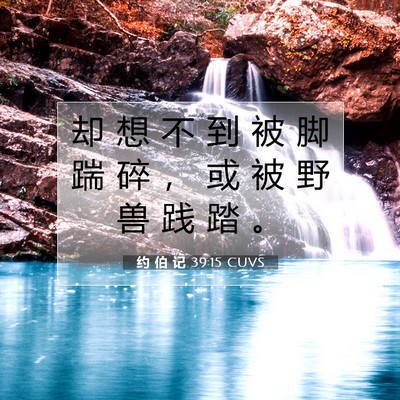 Picture 07 - 约 伯 记 39:15 CUVS - 却 想 不 到 被 脚 踹 碎 ， 或 被 野 - Bible Verse Picture