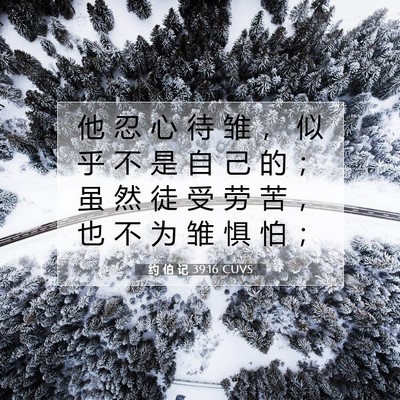 Picture 07 - 约 伯 记 39:16 CUVS - 他 忍 心 待 雏 ， 似 乎 不 是 自 己 - Bible Verse Picture
