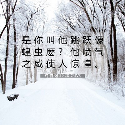 Picture 07 - 约 伯 记 39:20 CUVS - 是 你 叫 他 跳 跃 像 蝗 虫 麽 ？ 他 - Bible Verse Picture