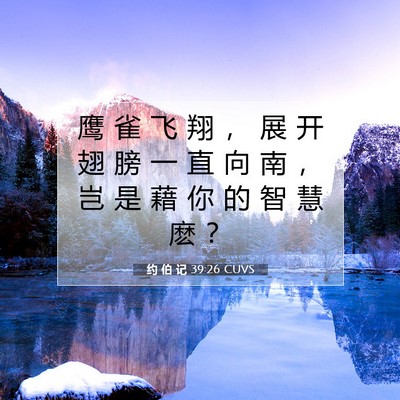 Picture 07 - 约 伯 记 39:26 CUVS - 鹰 雀 飞 翔 ， 展 开 翅 膀 一 直 向 - Bible Verse Picture